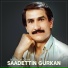 Saadettin Gürkan