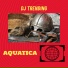 DJ Trending feat. Aquatica