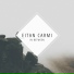 Eitan Carmi