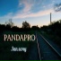 PANDAPRO