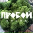 Пробой