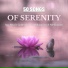 Serenity Maestro