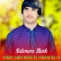 Suleman Shah Watan Dost