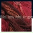 Mellow Melange, Ingo Höricht