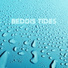 Beddis Tides
