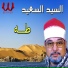 Sheikh El Sayed Sa3ed