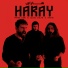 Payam Turk, Seccad Colani, Mahni