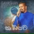 Gayashan Buddika