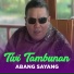 Tivi Tambunan