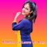 Niyamat Singer Mewati