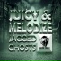 DJ Juicy & Melodize
