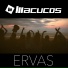 Macucos