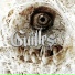 Guilles