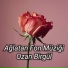 Ozan Birgül