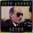 Seid Gabari