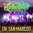 Los Rebeldes de la Costa