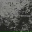 Riversofgarlic01