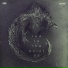 Crypsis