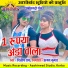 DILIP RAY