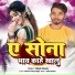 DIPAK DIWANA