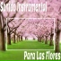 Sonido Instrumental
