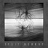 Split Memory, Precenphix, Gaze Into The Void