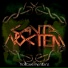 Canta Noctem