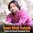 Sami Ullah Selaab