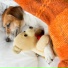 Deep Sleep Seekers