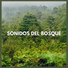Sonido del Bosque y Naturaleza