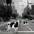 Vision-Vibe