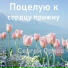 Reekardo ELENKA