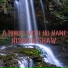 Nishesh Shaw