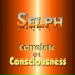 Correlate of Consciousness
