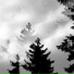 Flug 8