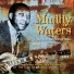 Muddy Waters