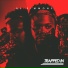 BJ Simmons feat. DF Jiggy, BJONSAX