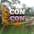 Condro
