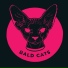 Bald Cats