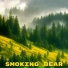 Smoking Bear