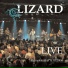 Bruce Brookshire, Lizard