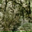 Digby Ayton