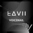 tavii