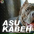Sundanis, SOKAYZ, Aksal MR