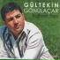 Gültekin Gönülaçar