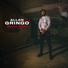Allan Gringo