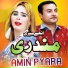 Amin Pyara