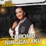 New Pallapa