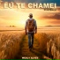 WESLY ALVES