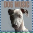 Baby Sleep White Noise, Dog Music Therapy